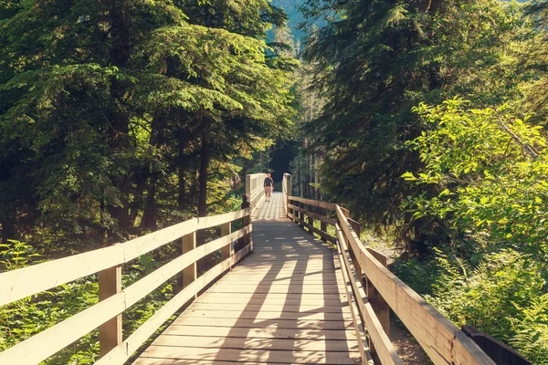 Boardwalk