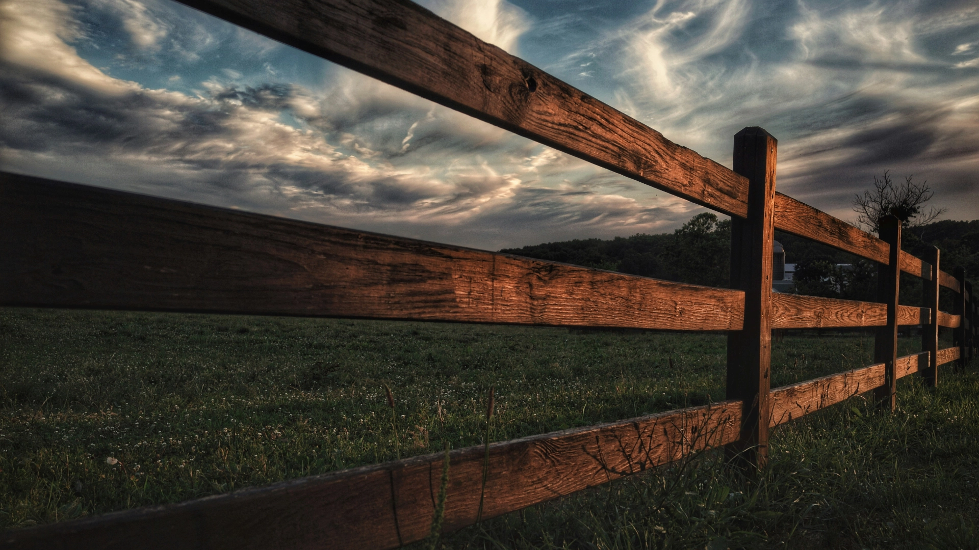 Agricultural Fence