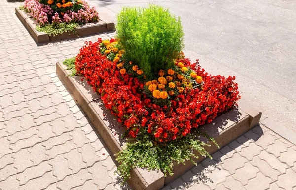 Sidewalk with integrated planters